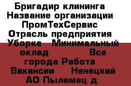 Бригадир клининга › Название организации ­ ПромТехСервис › Отрасль предприятия ­ Уборка › Минимальный оклад ­ 30 000 - Все города Работа » Вакансии   . Ненецкий АО,Пылемец д.